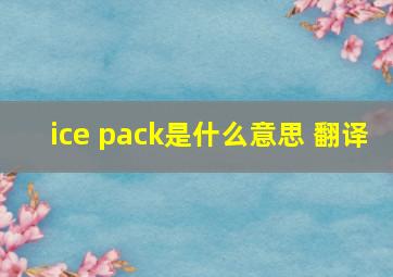 ice pack是什么意思 翻译